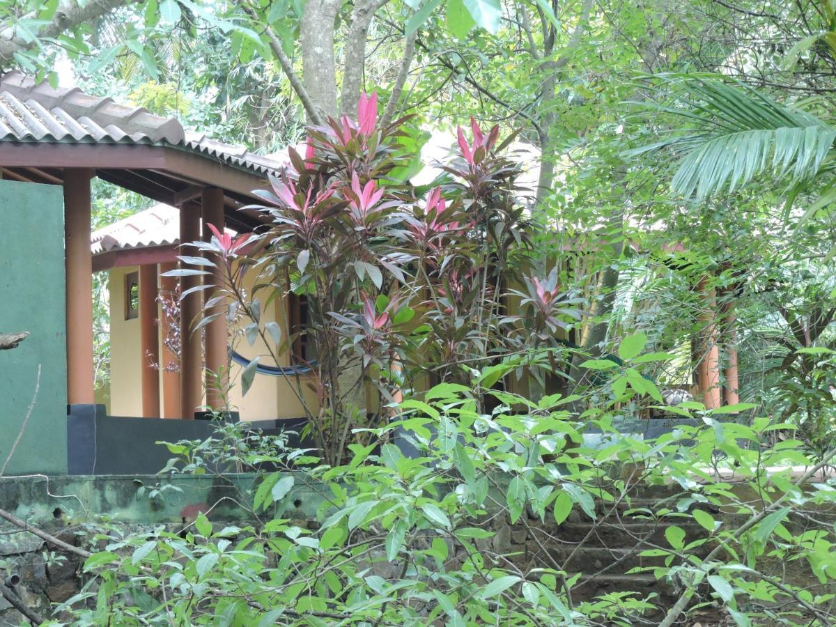 Richards Cabanas Tissamaharama Bagian luar foto